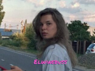 Elwinebuss