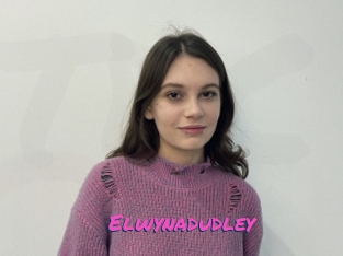 Elwynadudley