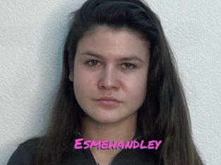 Esmehandley