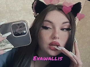 Evawallis