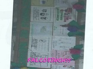 FALCO8INCHss