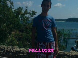 FELL1X123