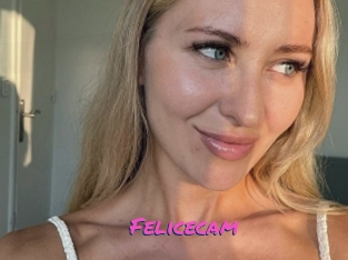Felicecam