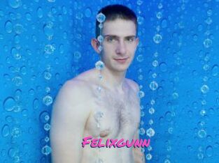 Felixgunn