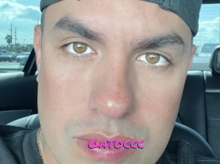 Gatoccc
