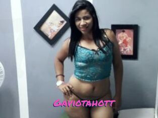 Gaviotahott