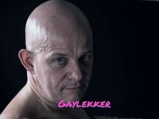 Gaylekker