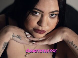 Genesisrosse