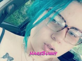 HareBunny