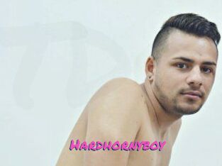 Hardhornyboy