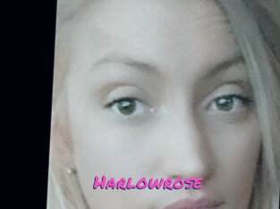 Harlowrose