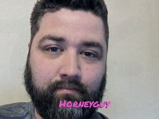 Horneyguy