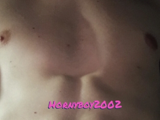 Hornyboy2002