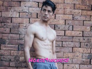 Horse9inchesz