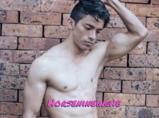Horsenineinche