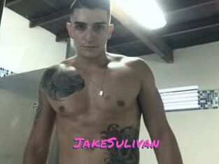 Jake_Sulivan