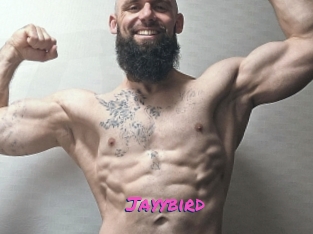 Jayybird