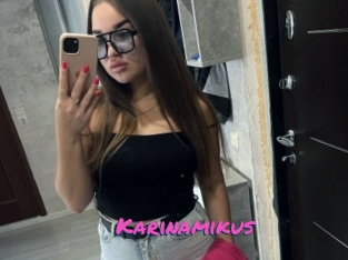Karinamikus