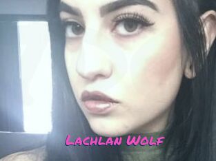 Lachlan_Wolf