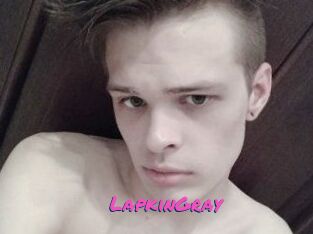 LapkinGray