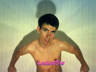 LargeSin