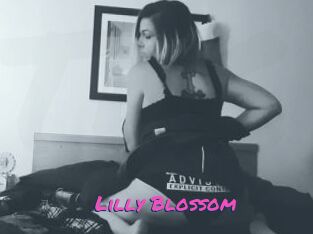 Lilly_Blossom