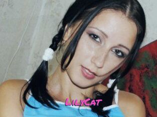 Lily_Cat_