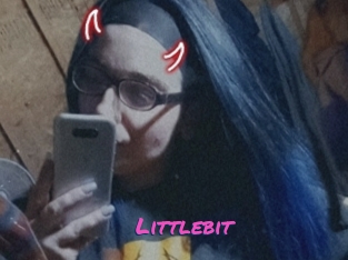 Littlebit