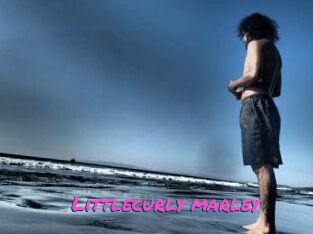 Littlecurly_marley