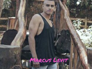 Marcus_Levit