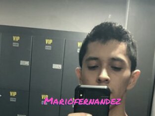 Mariofernandez