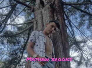 Mathew_brooks