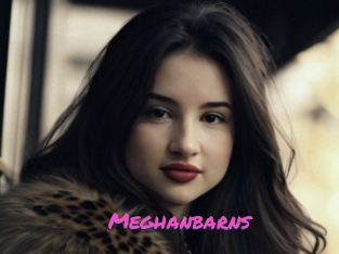 Meghanbarns