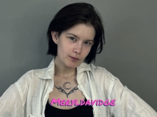 Meryldavidge