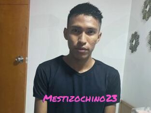 Mestizochino23