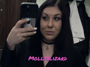 Mollyblizard