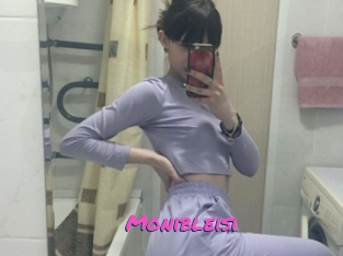 Monibleisi