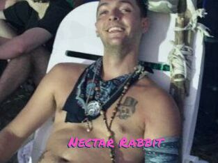 Nectar_Rabbit
