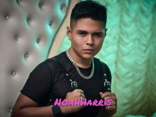 NoahHarris