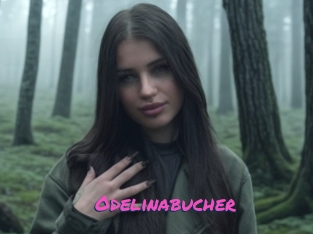 Odelinabucher