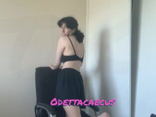 Odettacaecus