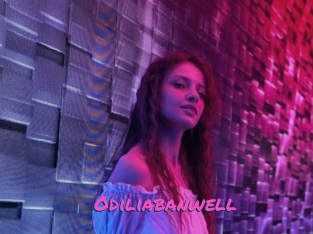 Odiliabanwell