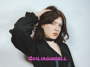 Odiliagingell