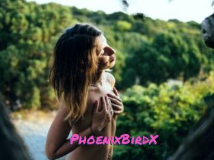 PhoenixBirdX