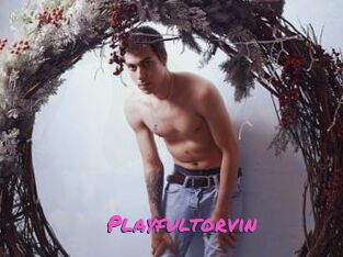 Playfultorvin