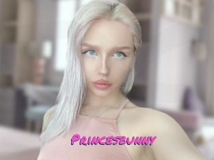 Princesbunny