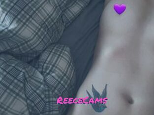 ReeceCams