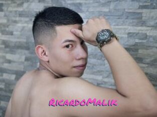 RicardoMalik