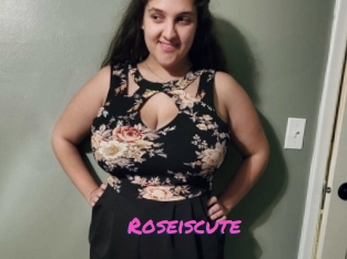 Roseiscute