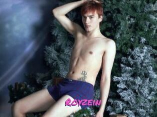 Royzein